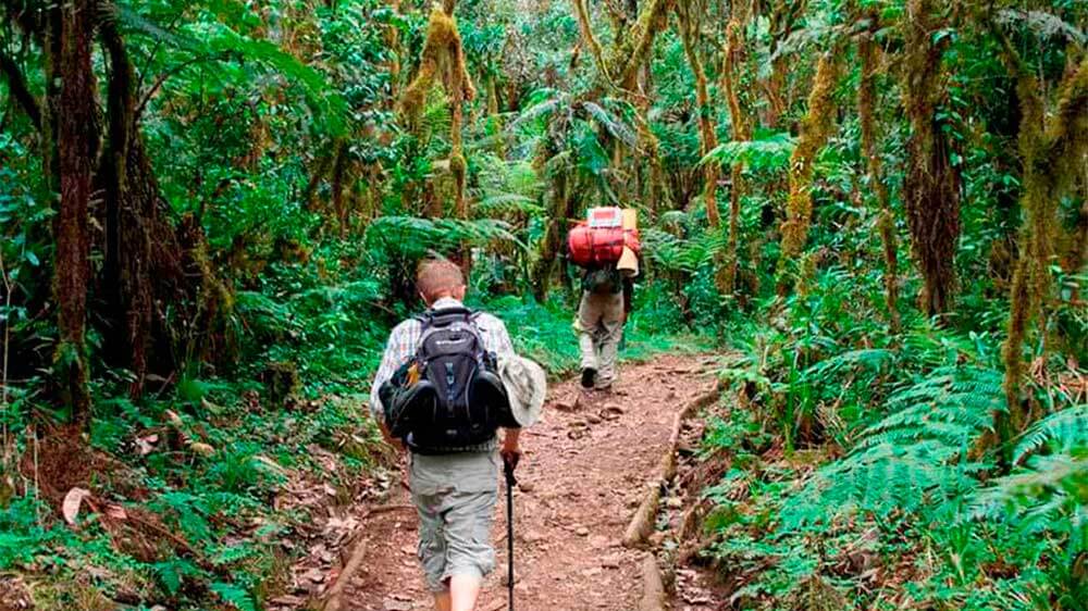 <i>Un día de senderismo en Kilimanjaro</i>