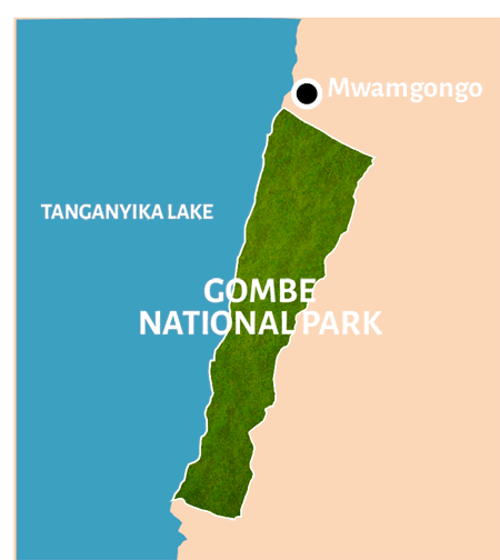 Parque Nacional Gombe