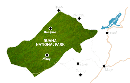 Ruaha National Park